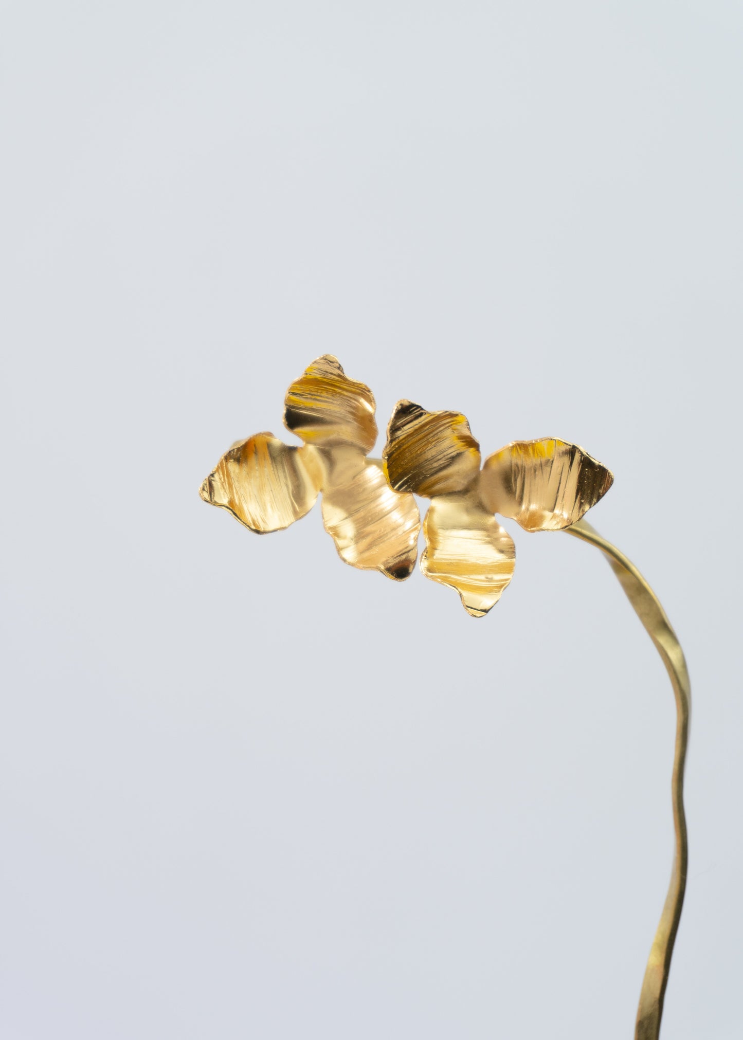 Aretes Topos Veranera Midi