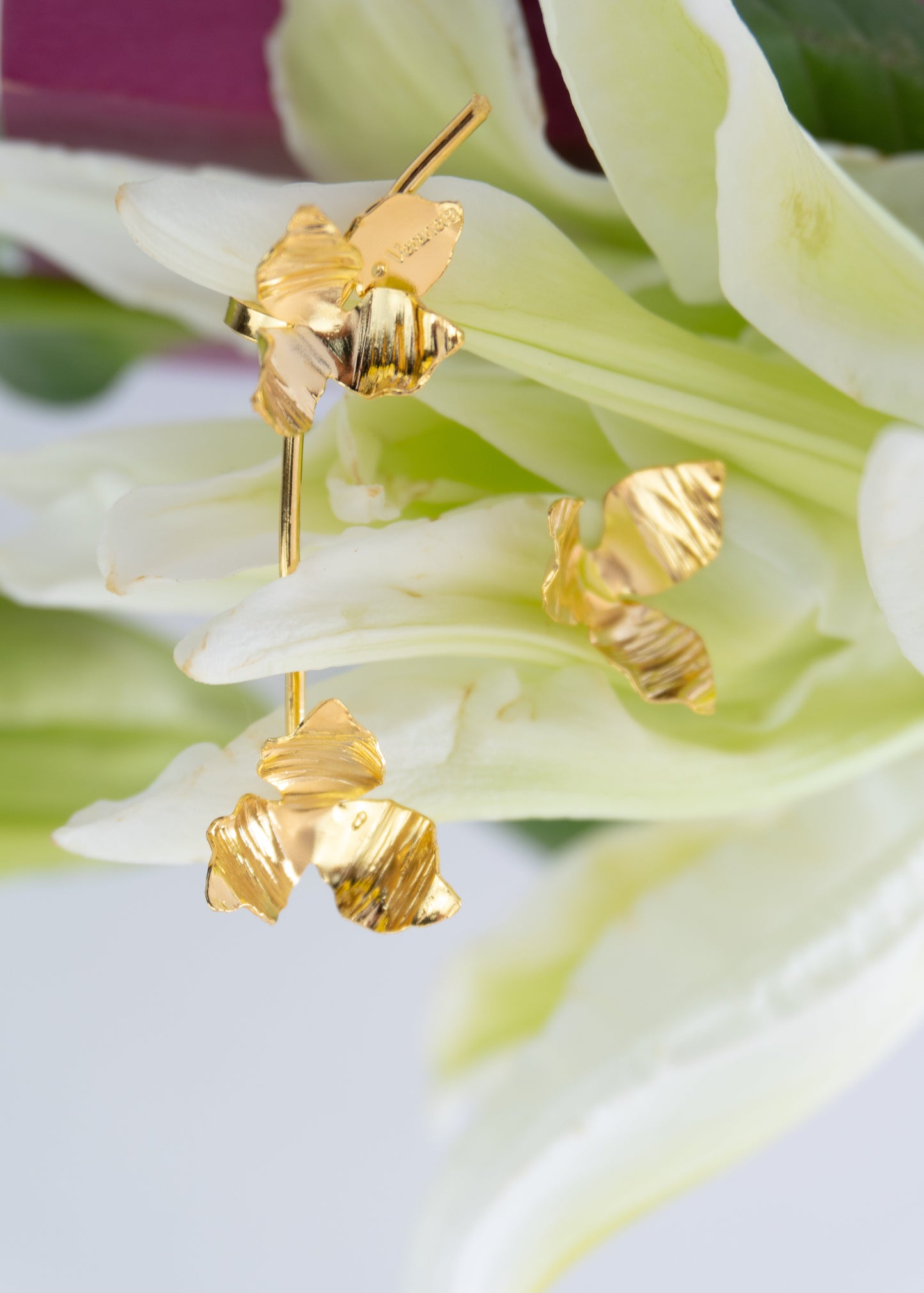 Aretes Earcuff  Rama