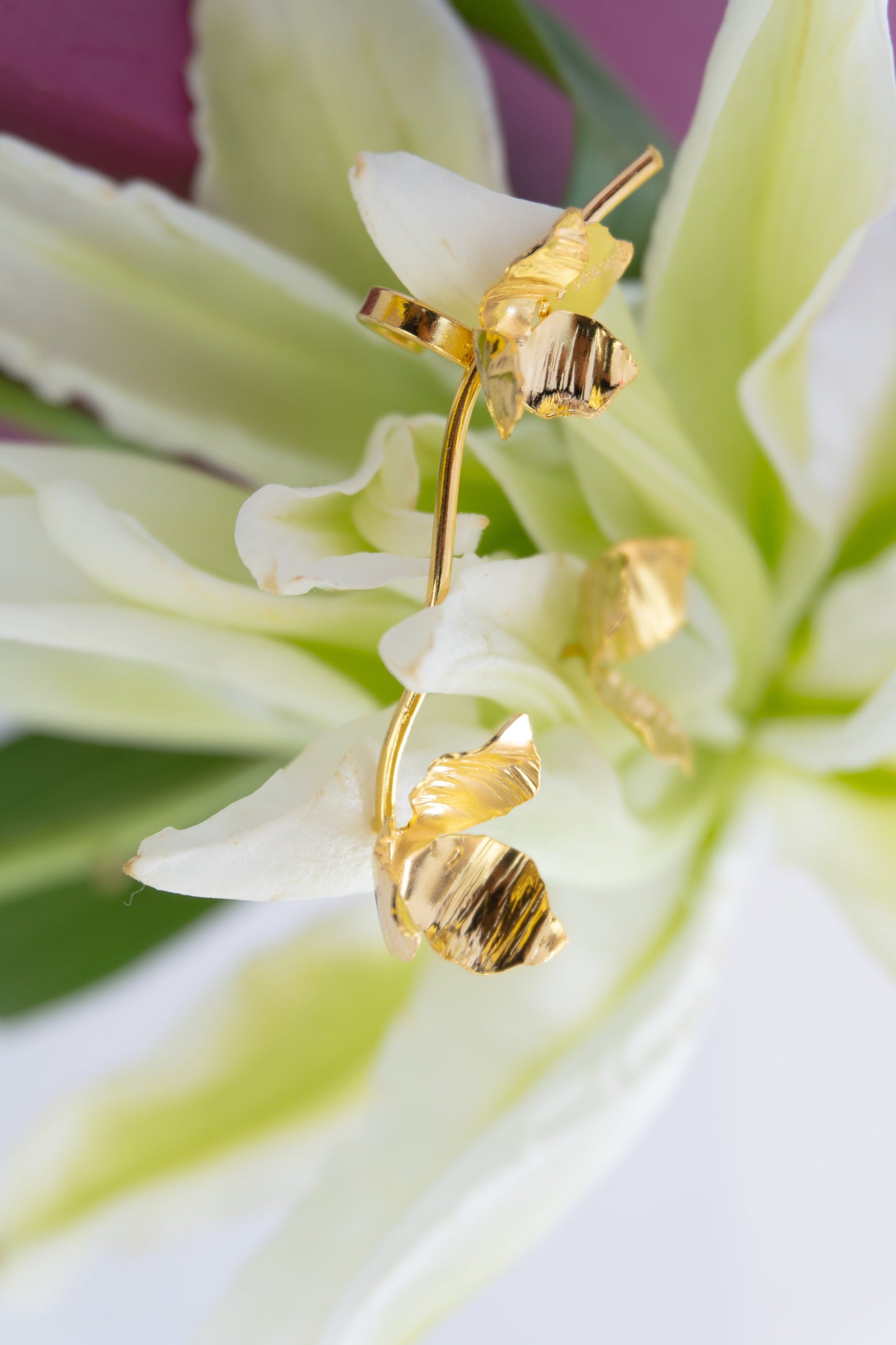 Aretes Earcuff  Rama