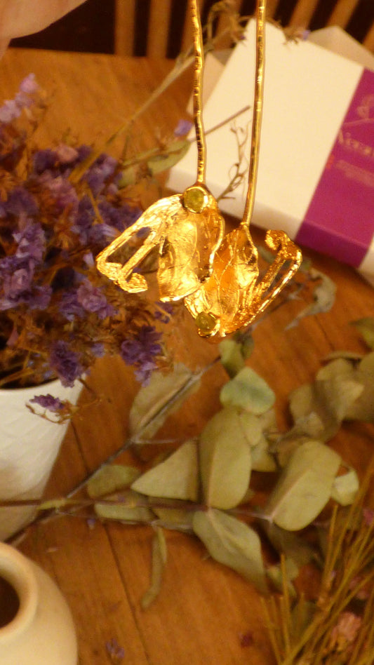 Aretes Bráctea