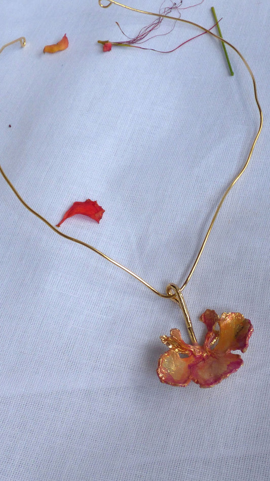 Collar Alma