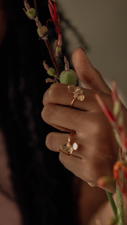 Anillo Fuego
