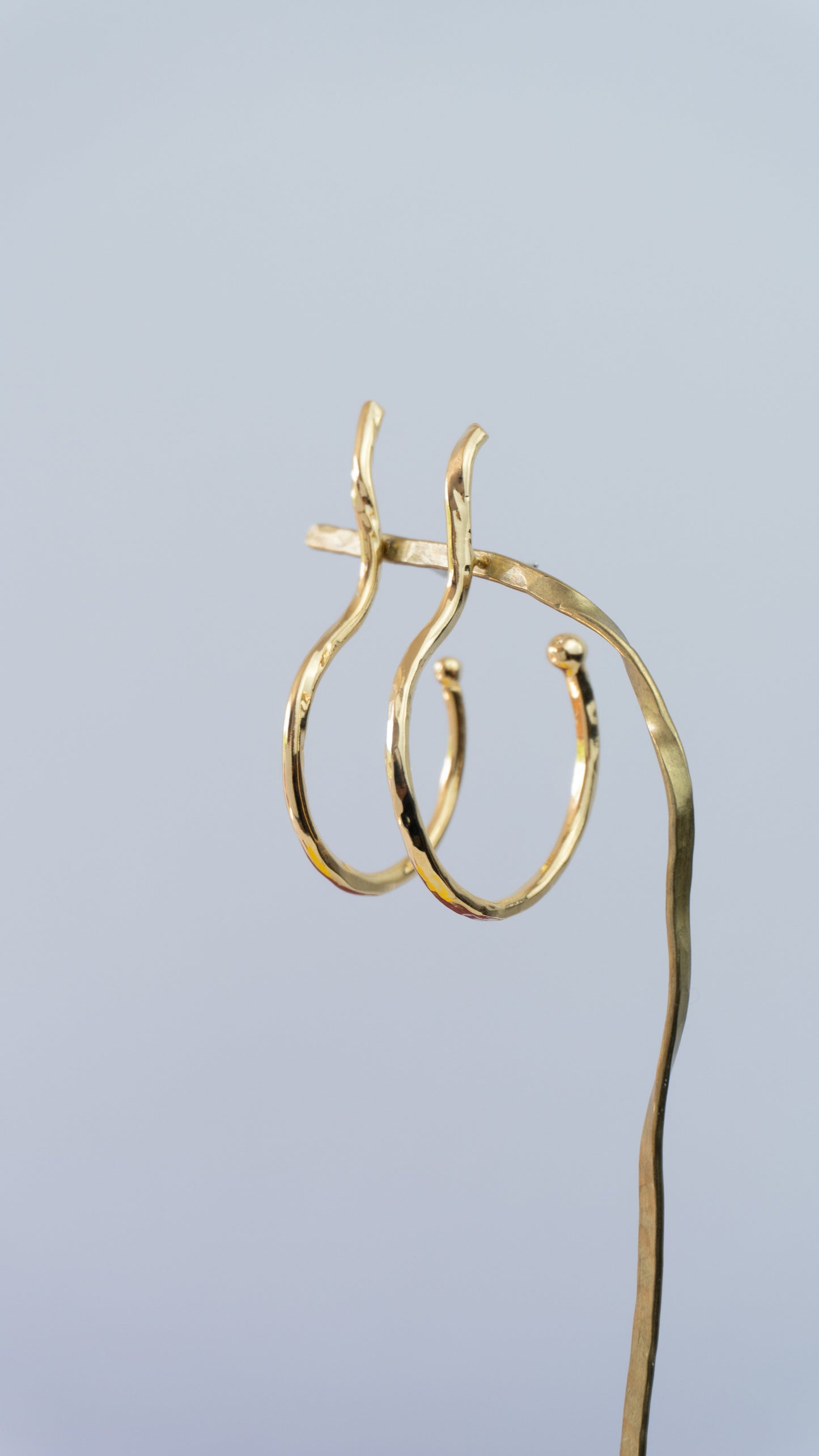 Aretes Canongas tallo