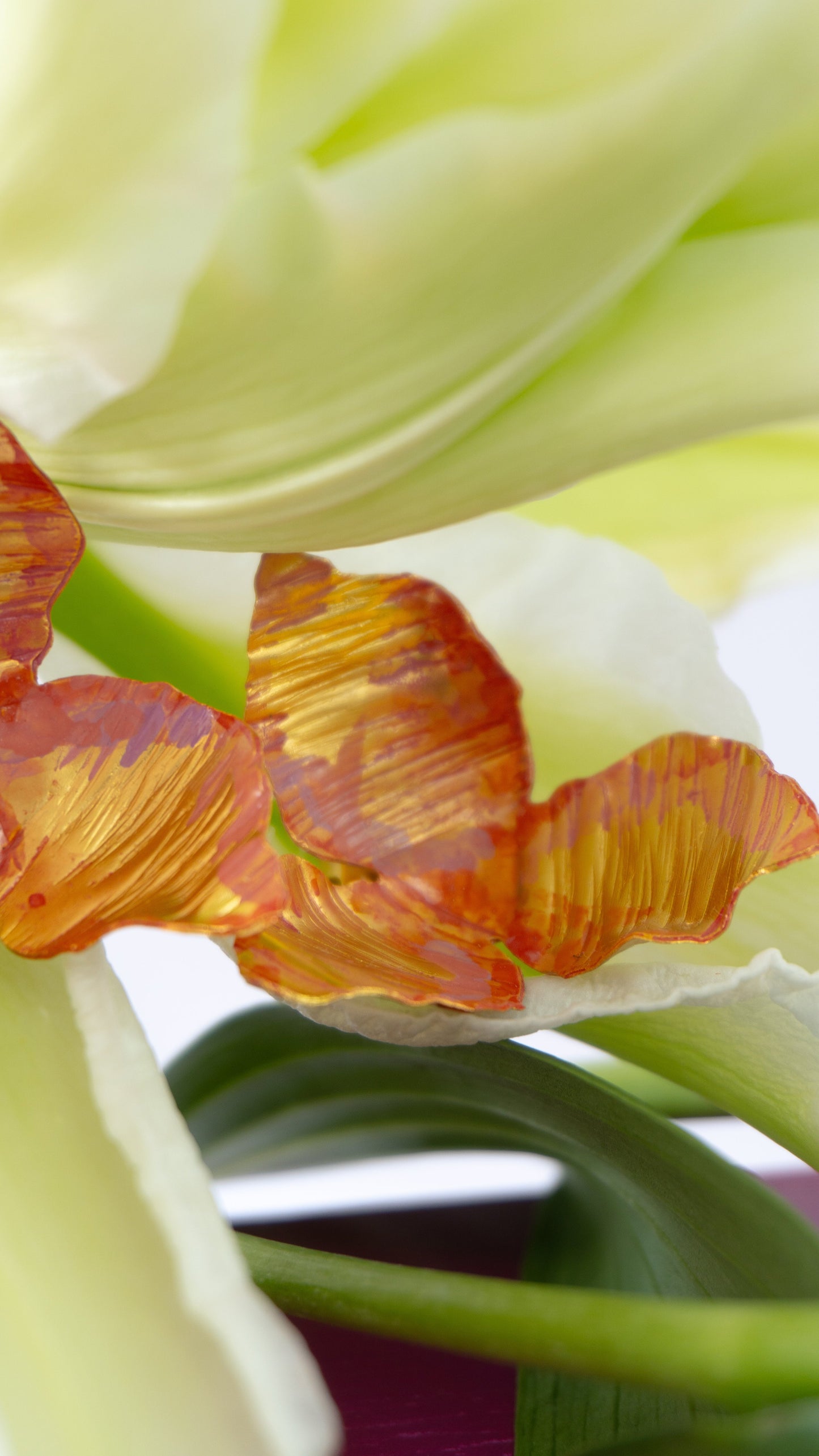 Aretes Topos Veranera Maxi